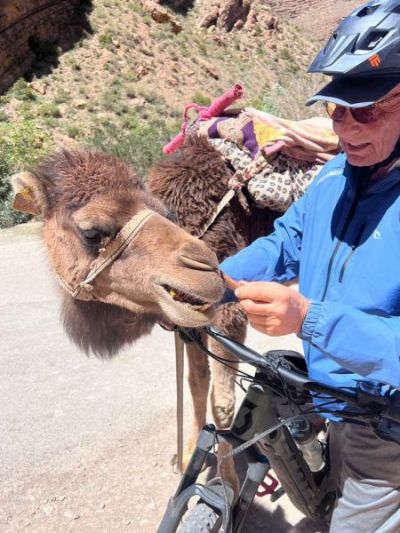 Tim Adams Cycling on the  tour with redspokes